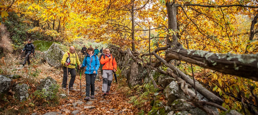 Otoño Mágico en el Valle de Ambroz